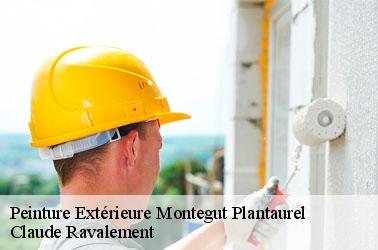 Faire de la Peinture extérieure à Montegut Plantaurel