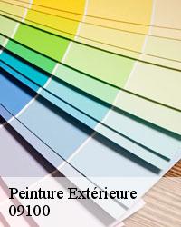 Notre entreprise de peinture extérieure et façade à Saint Amadou pour une intervention unique